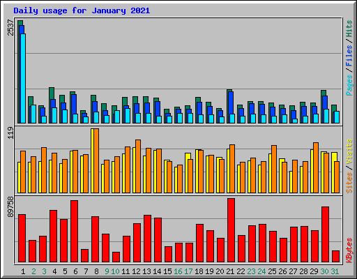 Daily usage for January 2021