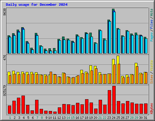 Daily usage for December 2024