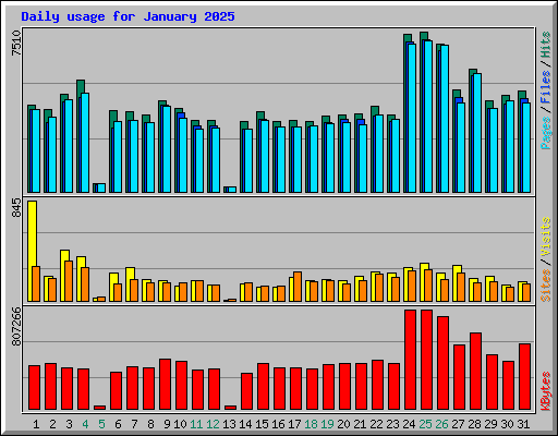 Daily usage for January 2025