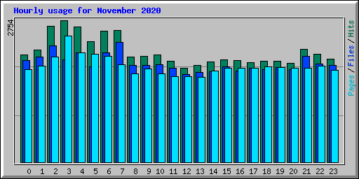 Hourly usage for November 2020