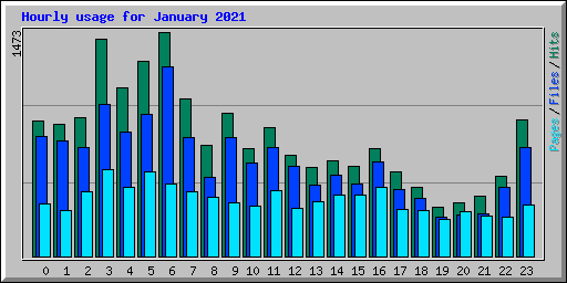 Hourly usage for January 2021