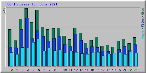 Hourly usage for June 2021