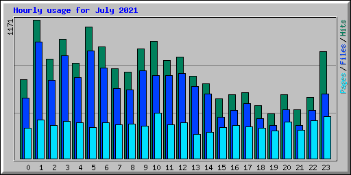 Hourly usage for July 2021