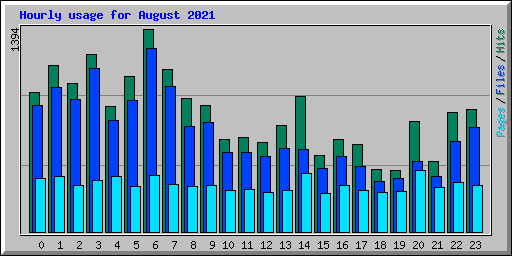 Hourly usage for August 2021