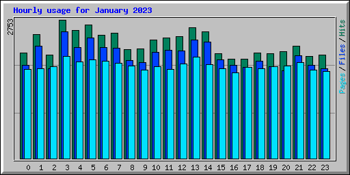 Hourly usage for January 2023