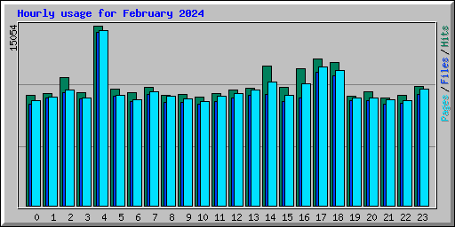 Hourly usage for February 2024