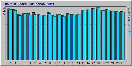 Hourly usage for March 2024