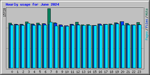 Hourly usage for June 2024