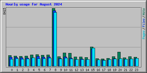 Hourly usage for August 2024