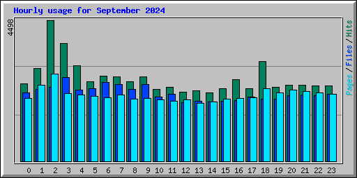 Hourly usage for September 2024