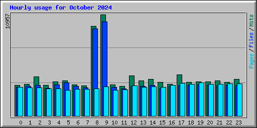 Hourly usage for October 2024