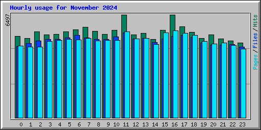 Hourly usage for November 2024