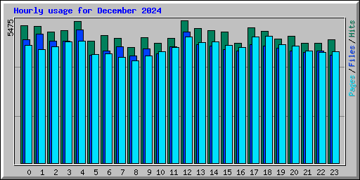 Hourly usage for December 2024