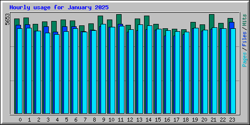 Hourly usage for January 2025