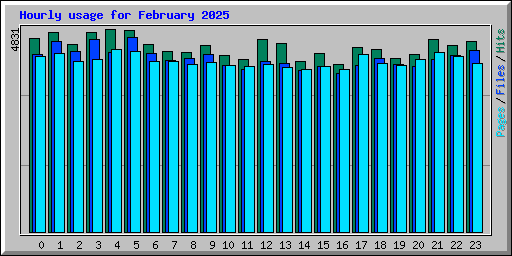 Hourly usage for February 2025